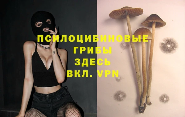 МДПВ Гусь-Хрустальный
