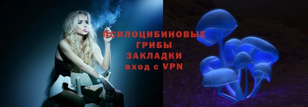 гидропоника Гусиноозёрск