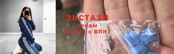 хмурый Болотное