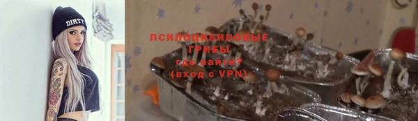 соль курить ск Гусев