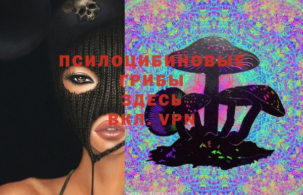 молекула духа Дмитровск