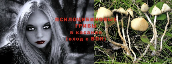 гидропоника Гусиноозёрск