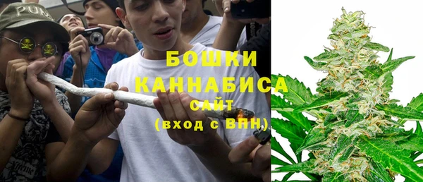 первитин Бикин