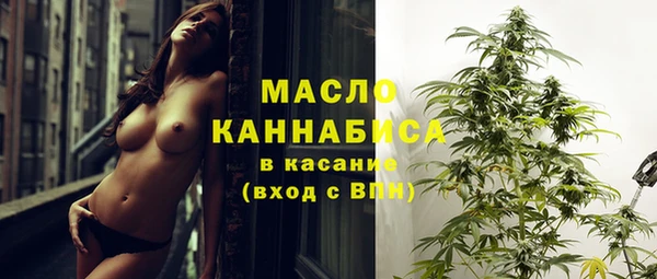 круглые Дмитриев
