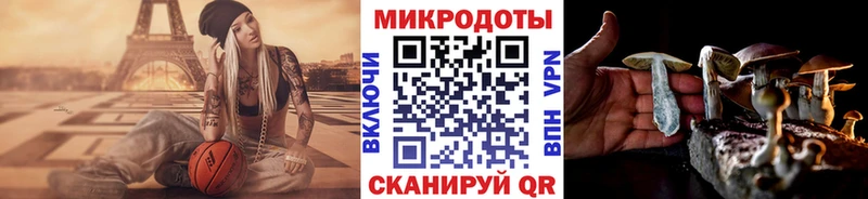 гидра ССЫЛКА  Завитинск  Псилоцибиновые грибы прущие грибы 